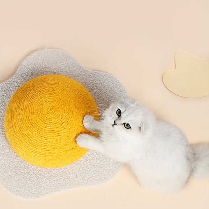 Cat enjoying a colorful scratching toy