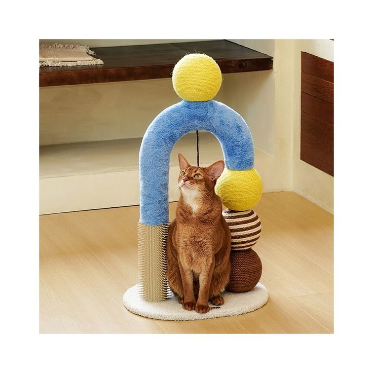 Pet enjoying a comfortable everyday moment