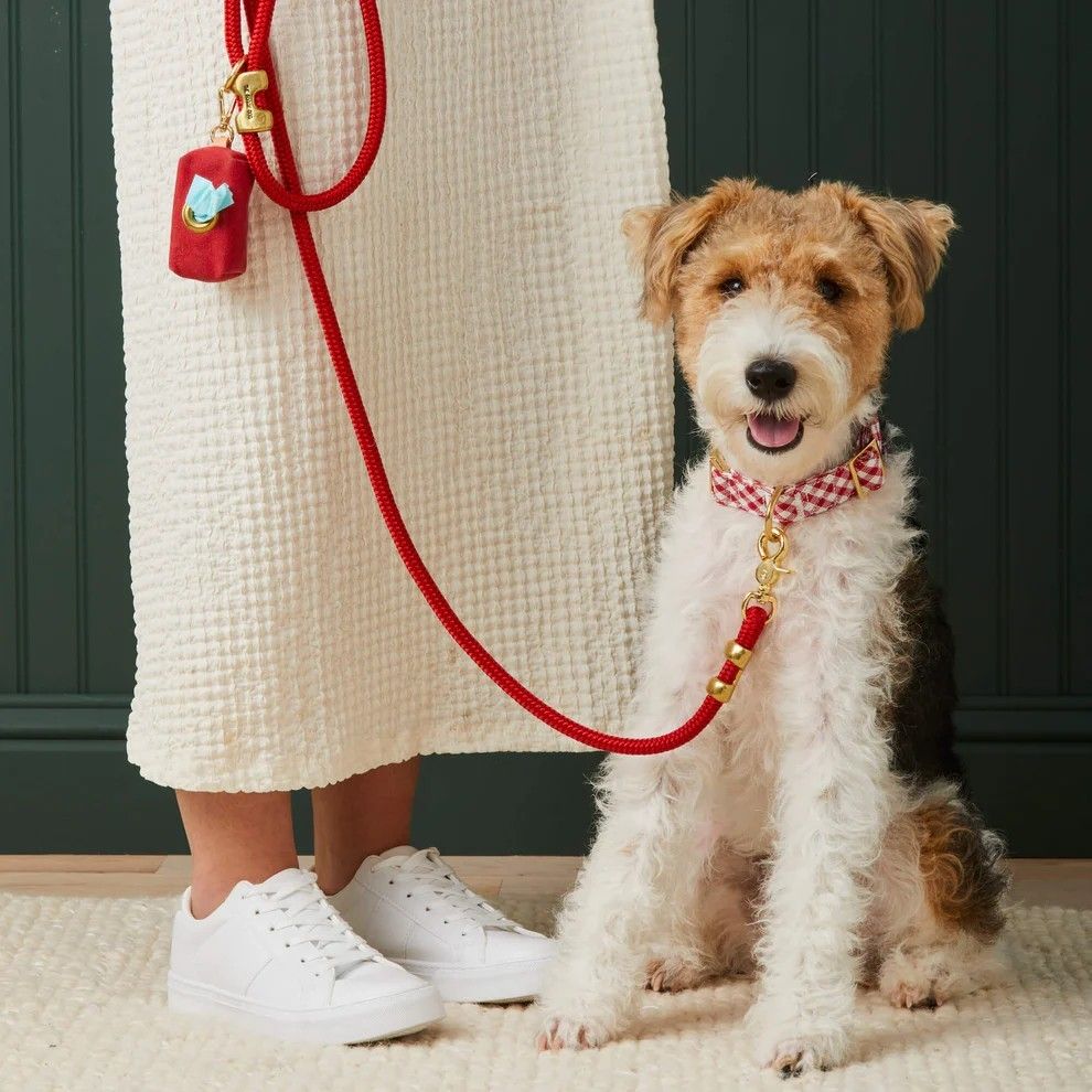 Everyday Leashes