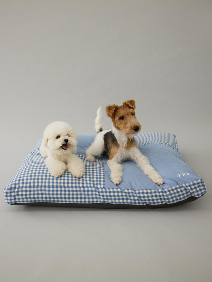 Cozy Dog Beds